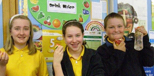 Healthy Kids : Case Study 5 – Moss Vale PS